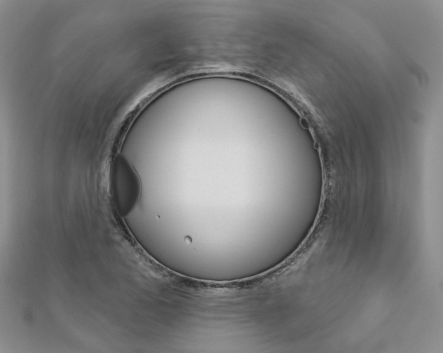 X0000113161173200909040946
