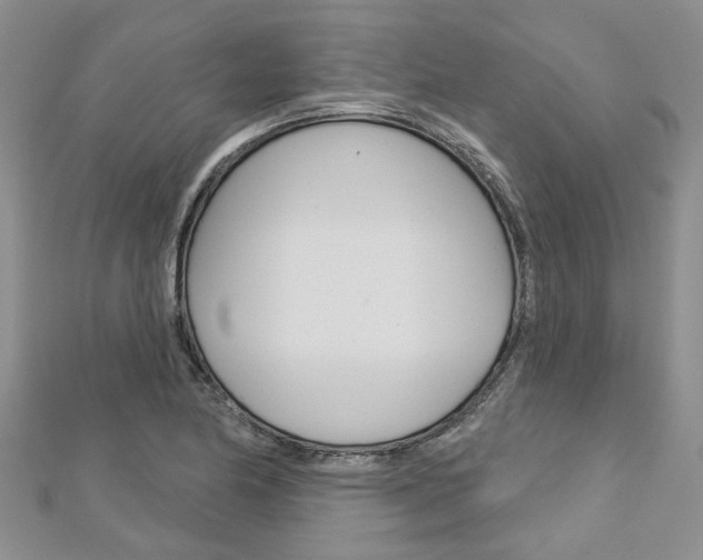 X0000113161174200909040946