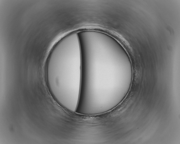 X0000113161175200909040946