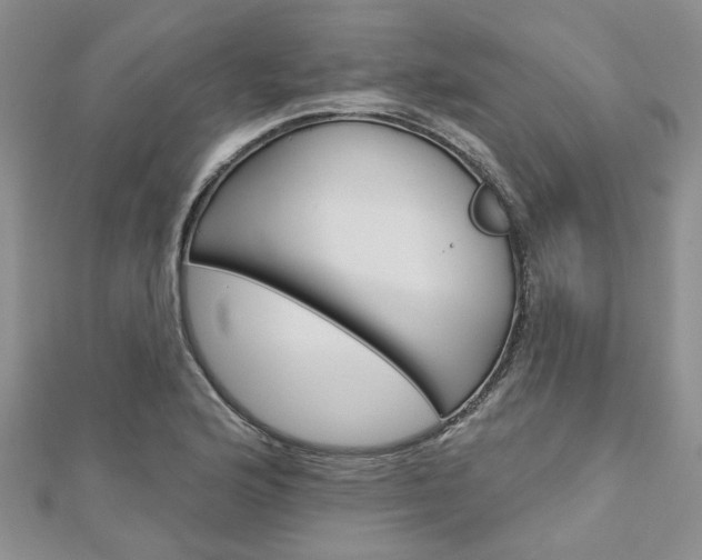 X0000113161176200909040946