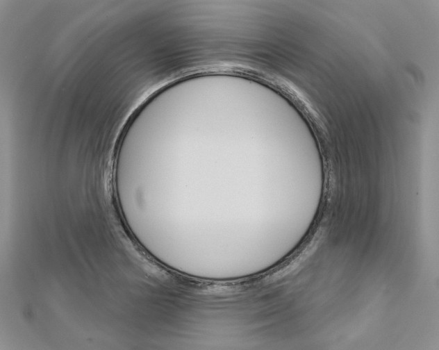 X0000113161178200909040946