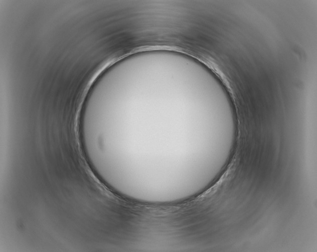 X0000113161181200909040946
