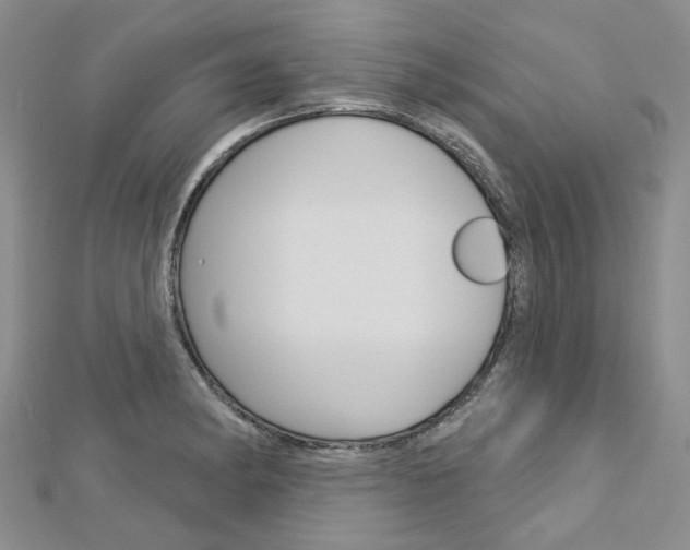 X0000113161182200909040946