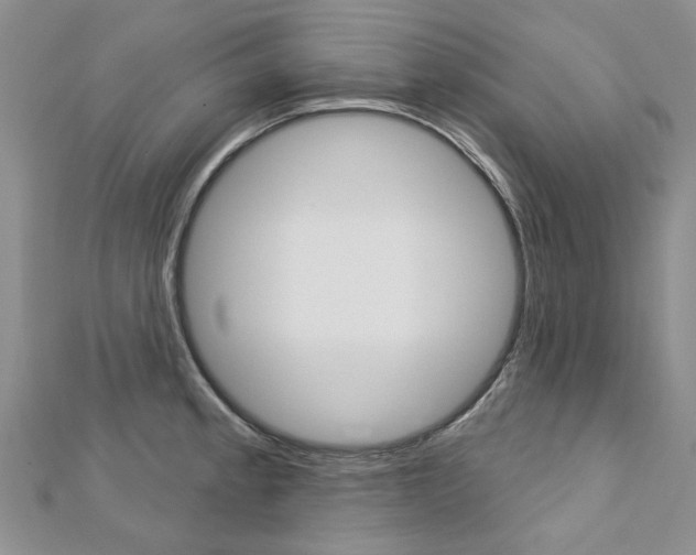X0000113161189200909040946