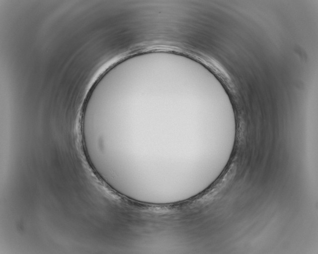 X0000113161190200909040946