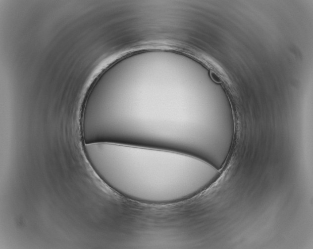 X0000113161192200909040946
