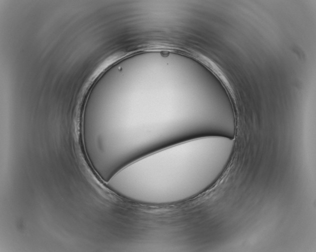 X0000113161195200909040946