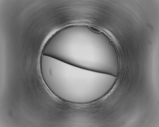 X0000113161196200909040946