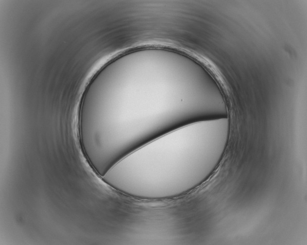 X0000113161199200909040946