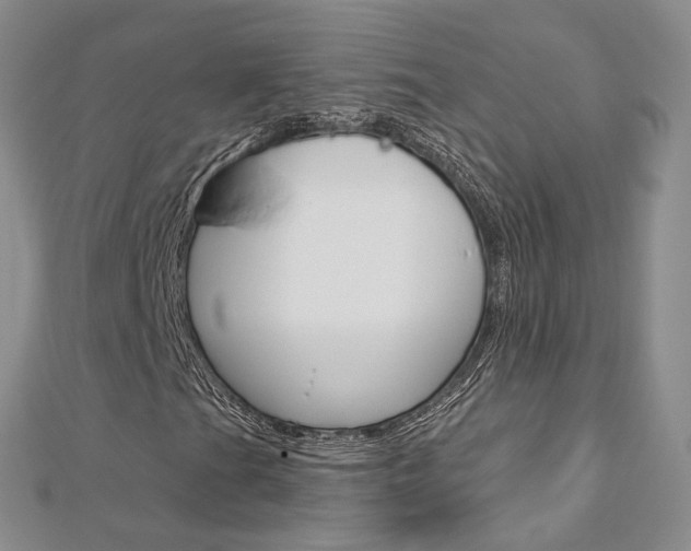 X0000113161201200909040945