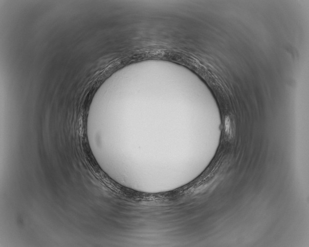 X0000113161203200909040945