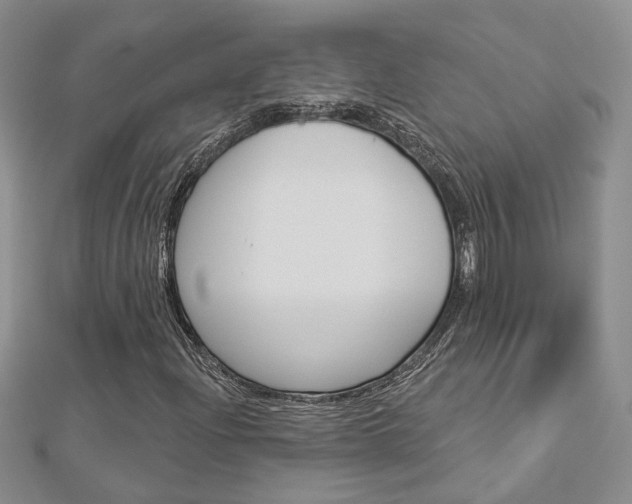 X0000113161204200909040945
