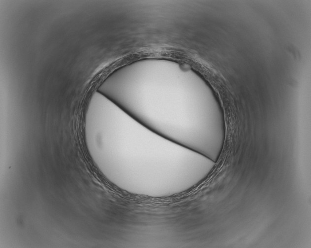 X0000113161206200909040945