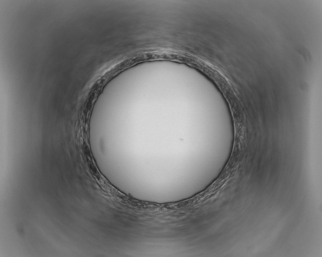 X0000113161207200909040945