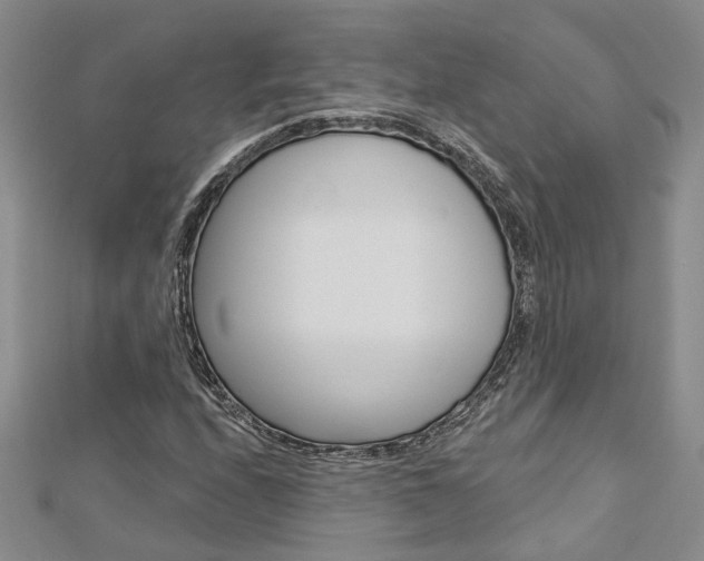 X0000113161208200909040945