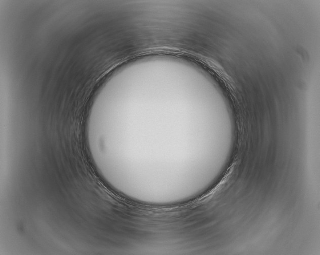 X0000113161209200909040945