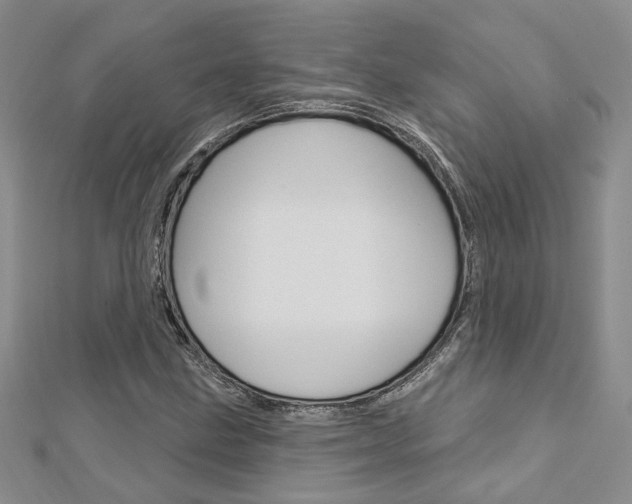 X0000113161211200909040945