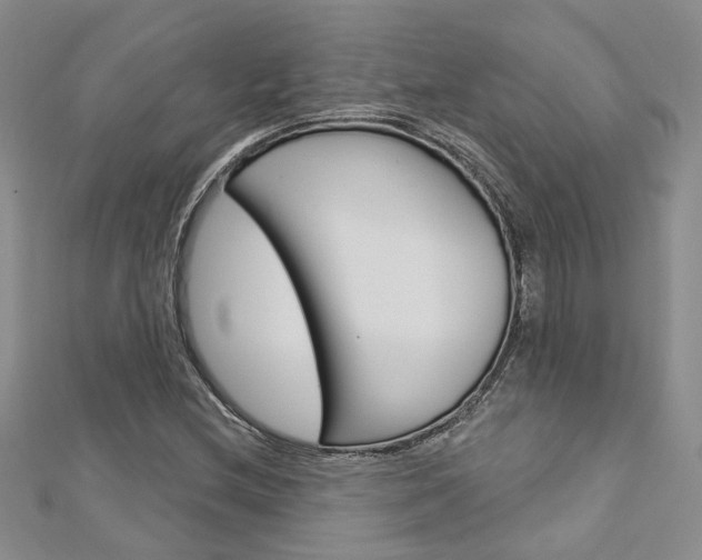 X0000113161212200909040945