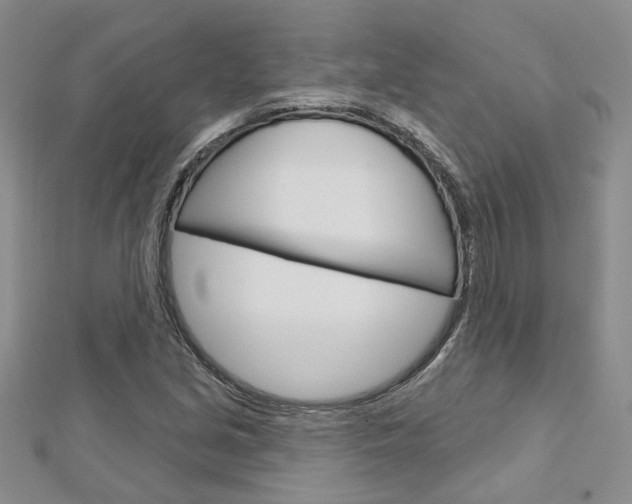 X0000113161213200909040946
