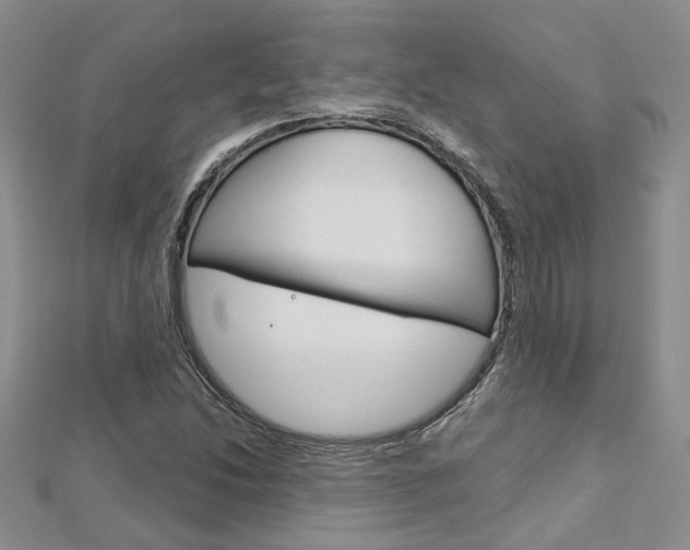 X0000113161214200909040946