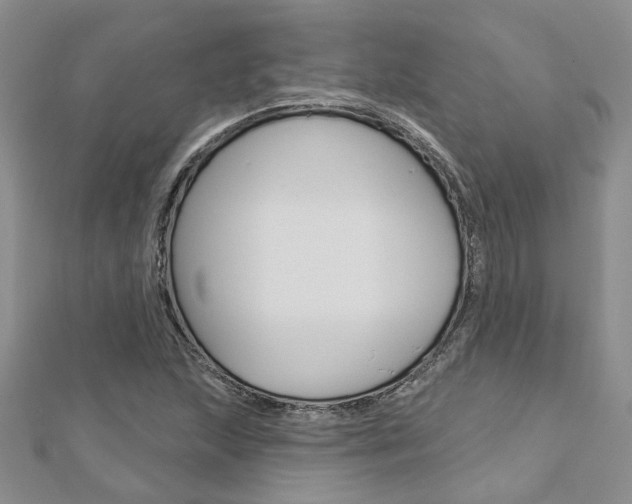 X0000113161215200909040946