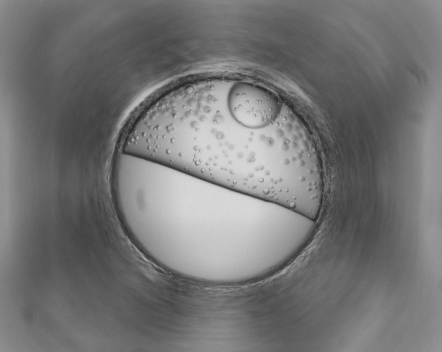 X0000113161216200909040946