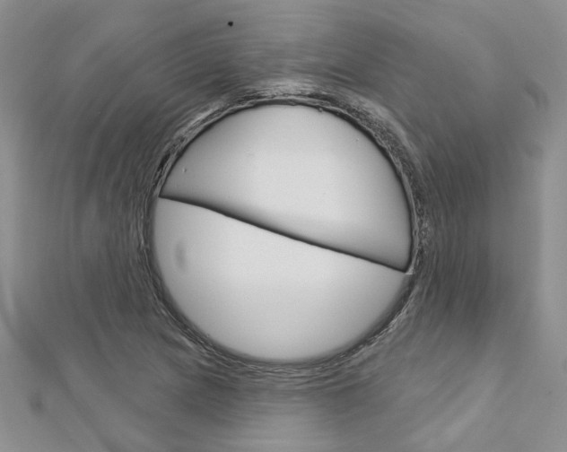 X0000113161217200909040946