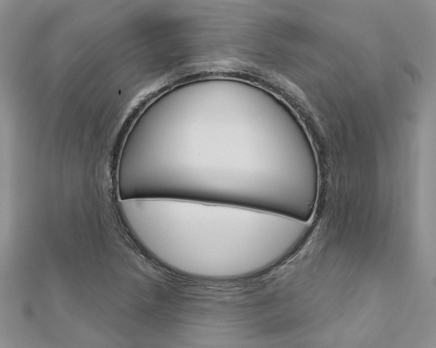 X0000113161218200909040946