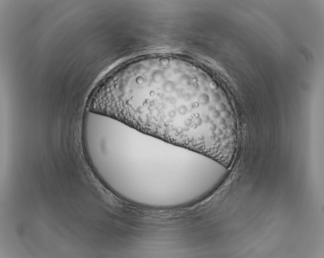 X0000113161220200909040946
