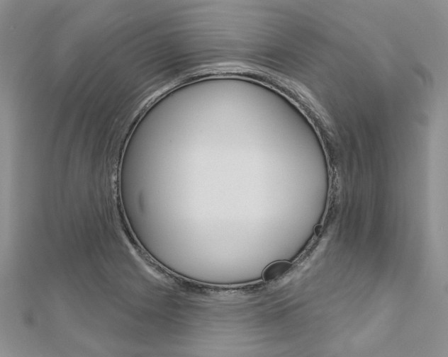 X0000113161225200909040946