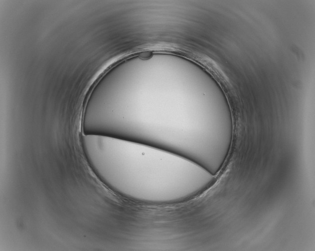 X0000113161228200909040946