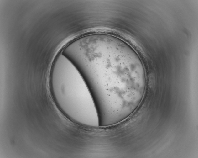 X0000113161229200909040946