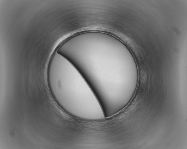 X0000113161230200909040946