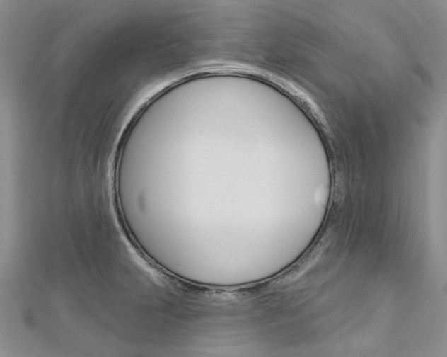 X0000113161231200909040946