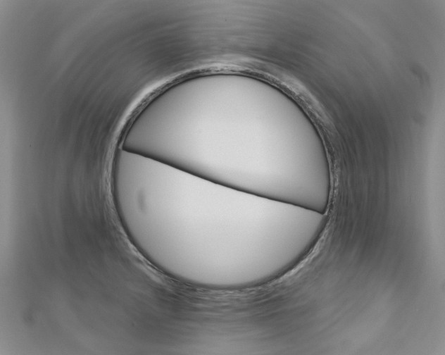 X0000113161232200909040946