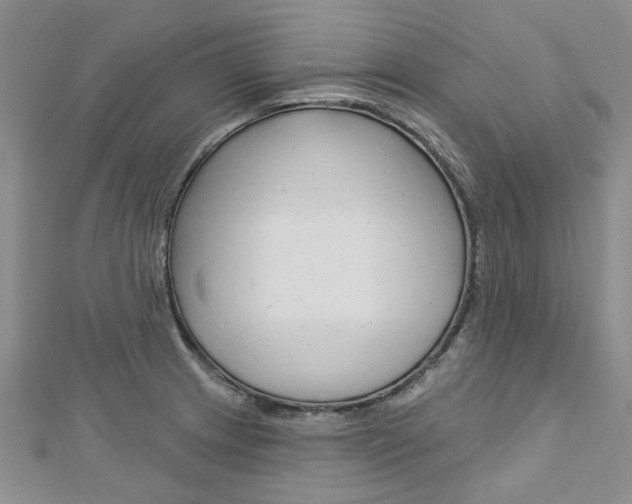 X0000113161233200909040946