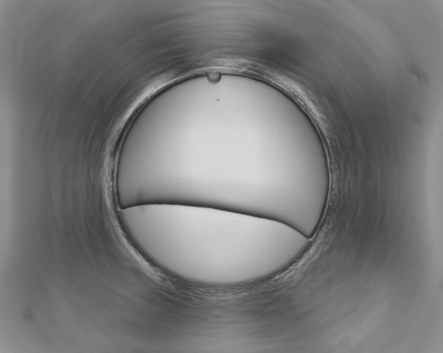 X0000113161235200909040946