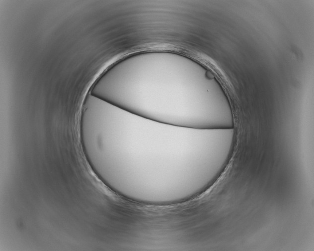 X0000113161236200909040946