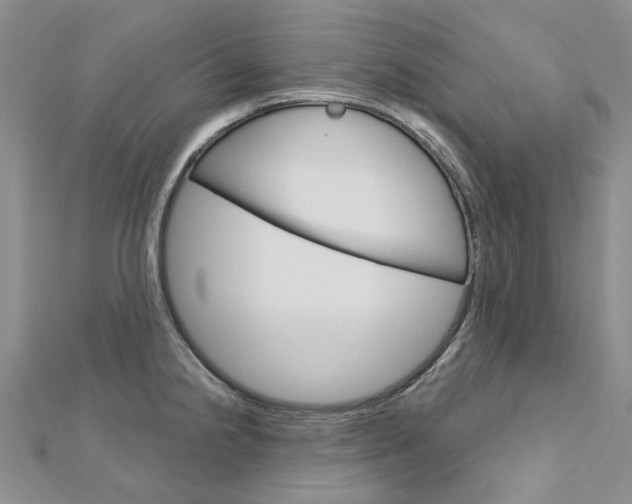 X0000113161238200909040946