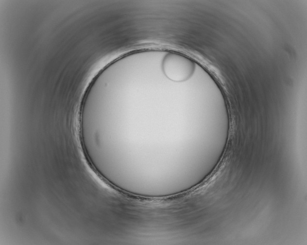 X0000113161239200909040946