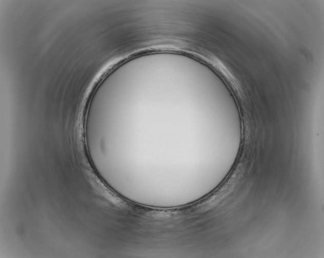 X0000113161240200909040946