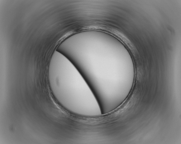 X0000113161241200909040946