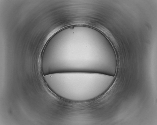 X0000113161242200909040946