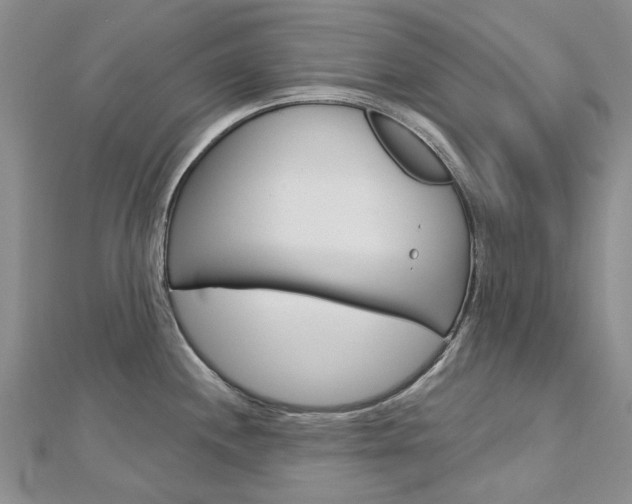 X0000113161244200909040946