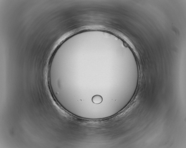 X0000113161245200909040946