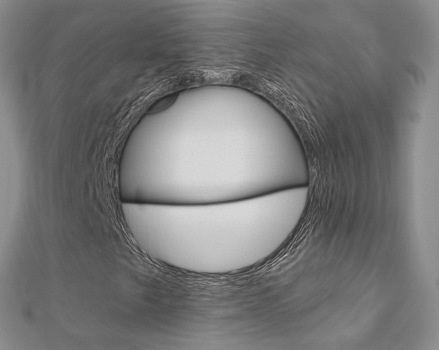 X0000113161249200909040945
