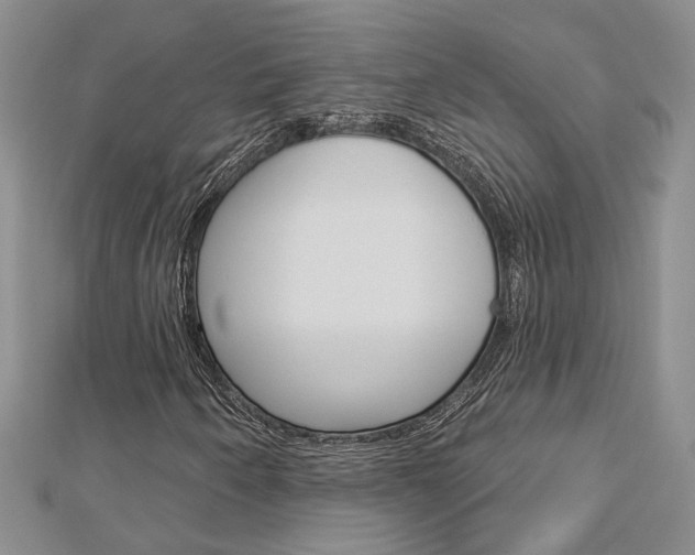 X0000113161250200909040945