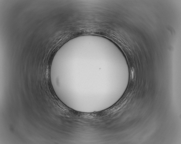 X0000113161251200909040945