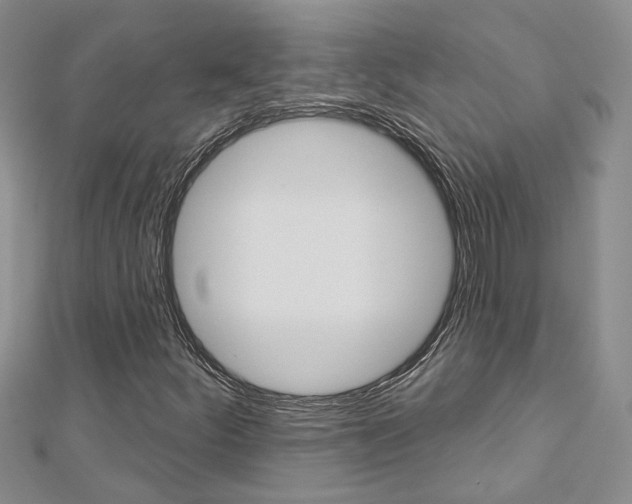 X0000113161252200909040945