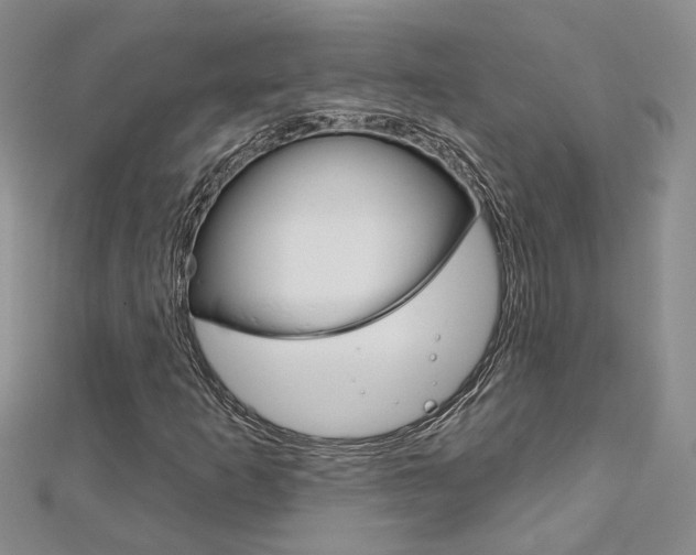 X0000113161253200909040945